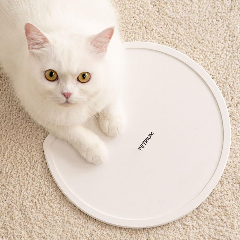 PETRIUM Stone Dry Mat for Pets, Absorbent Pet Feeding Mat for Food, Water Bowls Quick Drying Mat for Pet Cat Water Fountains Natural Diatomaceous Earth Non-Slip Dog Cat Accessories for Messy Drinkers - Image 1
